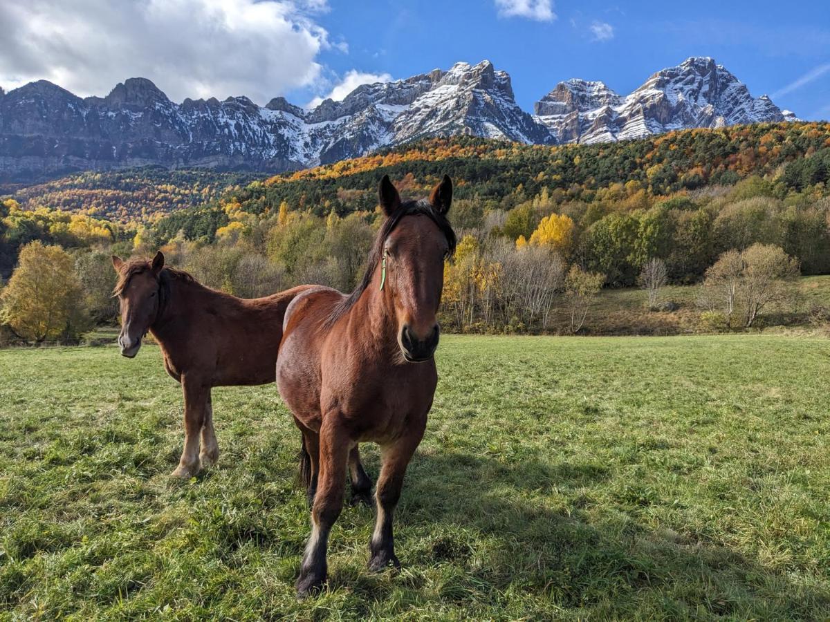 Nornore: Una Casa Especial En La Montana Piedrafita de Jaca Exteriör bild